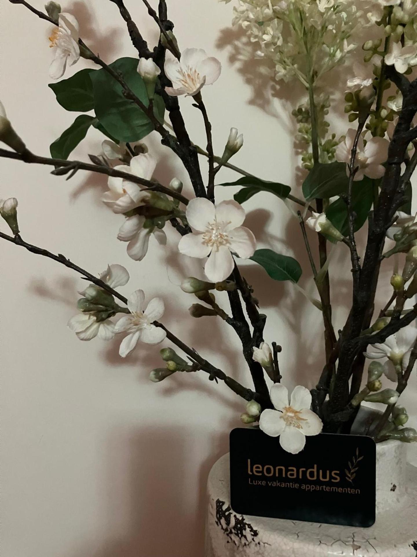 Luxe Appartementen Leonardus Valkenburg aan de Geul Exterior foto